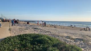 Plage João de Caparica - Costa da Caparica - 6