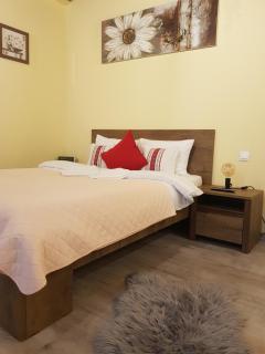 Weiss House - Braşov - 9
