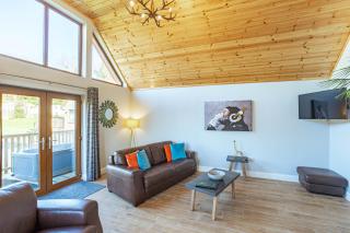 Kestrel Lodge 7 with Hot Tub - Newton Stewart - 9