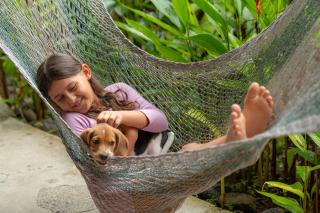 Tabulia Tree Hotel and Villas - 1