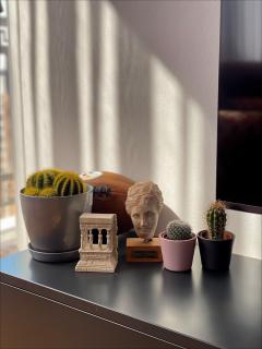 Vins Apartment - Pristina - 6