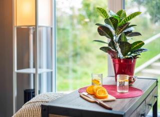 Chouette Tremblant Ski Inout Pedestrian Village - 4