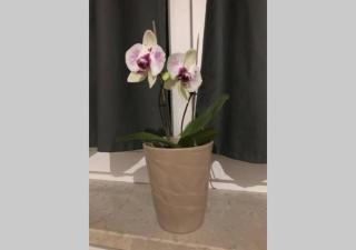 Live easy with balcony,Netflix, quiet, close to Football stadium, direct train connection, Espresso maker - 6