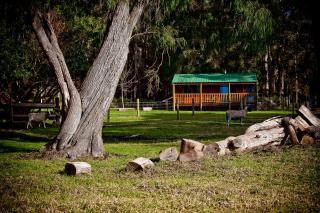 Diamond Forest Farm Stay - 9