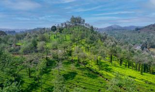 Amritara Shalimar Spice Garden Resort & Spa - Thekkady - 7