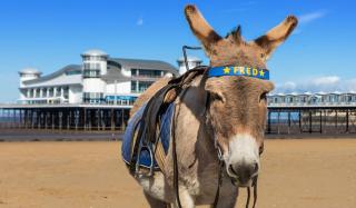 CORBIERE GUEST HOUSE - Weston-super-Mare - 2