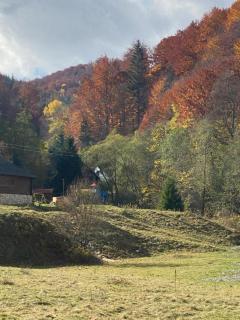 Casa de vacanta Satic Piatra Craiului La Doi viermi - 8