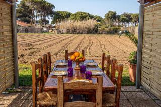 Giannella Tuscany Holidays - 9