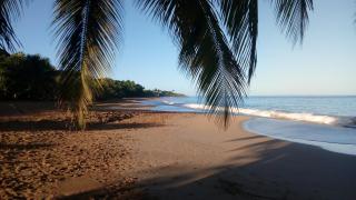 Gite à 2 pas de la flamboyante plage de La Perle - Deshaies - 9