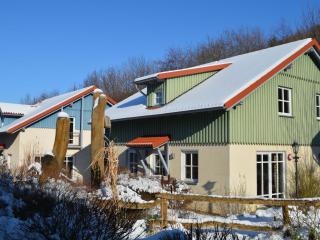 Holiday home in Wernigerode with indoor pool - Wernigerode - 8