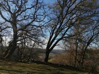 Gite Les 3 Toitures Ecogite le Luquet Saint Beauzeil 82 - 7