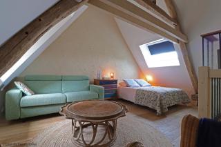 La Dragonne, petite maison au centre de Bellême, jardin, cuisine équipée, vue forêt - Bellême - 0