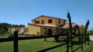 Il Cardoncello - Sindia - 0