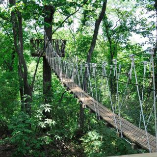 Serene and Modern 5 Location, Queen Bed, Parking - 8