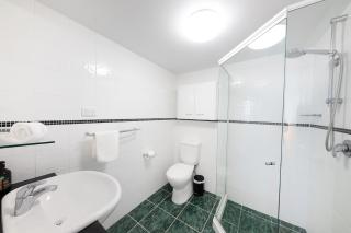 Spinnaker 402 - Forster - 2