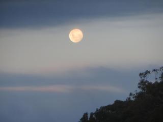 Eildon Parkview Motor Inn Room 10 - 5