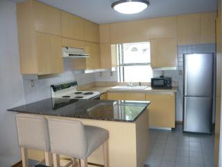Hakuba Royal Suites - Hakuba - 6