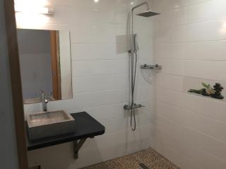 Aux Portes du Piton des Neiges - 5