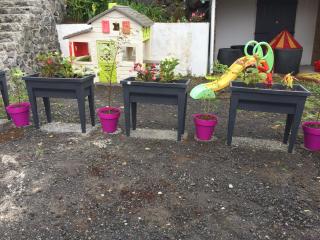 Aux Portes du Piton des Neiges - 2