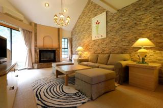 Hakuba Royal Suites - Hakuba - 8