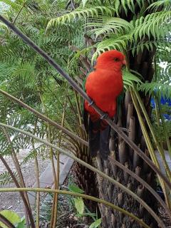 Eildon Parkview Motor Inn Room 8 - 6