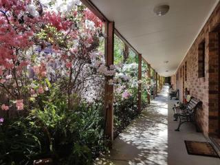Eildon Parkview Motor Inn Room 8 - Eildon - 2