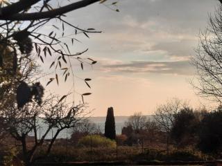 Casa Bella Vista Trevignano Romano - Trevignano Romano - 3