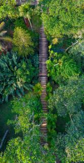 Amritara Shalimar Spice Garden Resort & Spa - Thekkady - 1