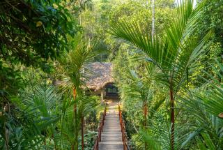 Amritara Shalimar Spice Garden Resort & Spa - Thekkady - 6