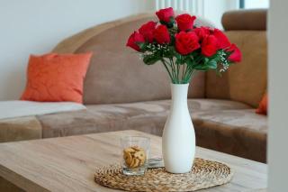 Duenenpark-Heiligenhafen-Haus-Sandduene-Wohnung-12-Sandtraum - 2