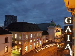 GAIA Hotel Basel - the sustainable 4 star hotel - 1