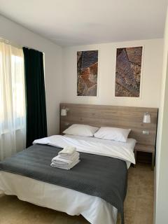 Dacia Residence Apartments - Bucarest - 3