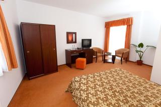 Pension Pantheon - Poiana Brasov - 9