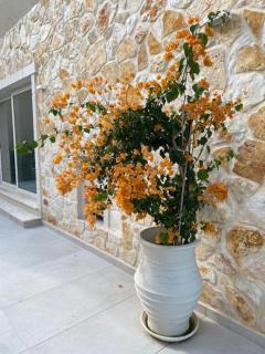 Luxury Seaside Villa DARL - 6