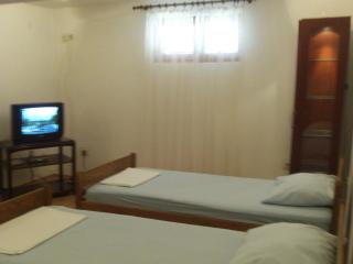 Apartment in Kustici with balcony, WiFi, washing machine (4847-1) - 1