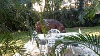 Lake St Lucia Lodge - St Lucia - 4