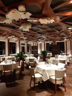 Bergwirtschaft Wilder Mann Hotel und Restaurant - Dresda - 2