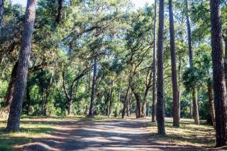 3410 Carolina Place - Hilton Head Island - 1