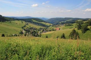 Ferienwohnung-Schwarzwald-in-der-Pension-Gloecklehof - Todtnau - 2