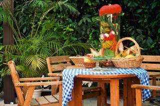 Flat in Alsace near Vosges Nature Park - 2