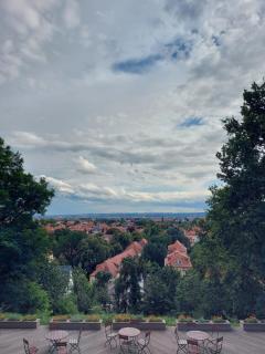 Bergwirtschaft Wilder Mann Hotel und Restaurant - Dresda - 5