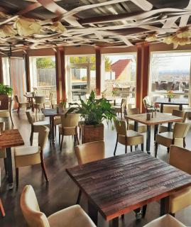 Bergwirtschaft Wilder Mann Hotel und Restaurant - Dresda - 6