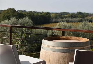 Villa Via Bolgherese - Bibbona - 2