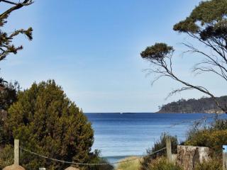 Sea Eagle at Roaring Beach - Surveyors Bay - 9