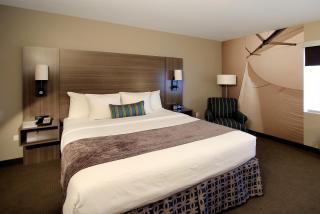 Executive Inn & Suites Oakland - Oakland - 7