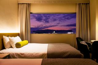 Hotel Nikko Himeji - Himeji - 1