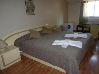 Hotel Aoma Buenos Aires - Buenos Aires - 2