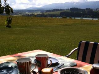 Ferienhaus Nr 110, Kategorie Komfort, Feriendorf Hochbergle, Allgäu - Karlsebene - 1