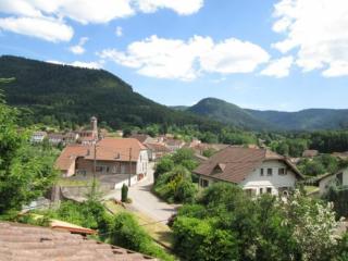 Charmant Gîte Vosgien avec Terrasse, Randonnées et Lacs, Proche Alsace et Col du Donon - FR-1-584-54 - Bionville - 6