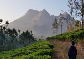 Glad Valley Wayanad By Lexstays-Tea Estate Villa - Wayanad - 7